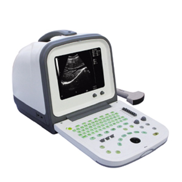 Scanner à ultrasons portable approuvé CE/ISO pour vétérinaire (MT01006122)