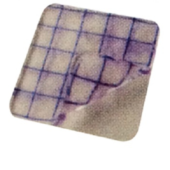 Ce/ISO a approuvé le pansement hydrogel médical (MT59401001)