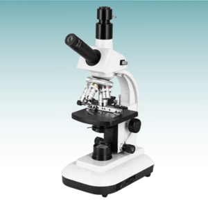 Microscope biologique de vente chaude (MT28107304)