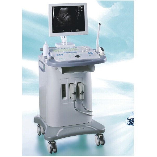 Machine de système de diagnostic à ultrasons numérique de type chariot approuvée CE/ISO (MT01006065)